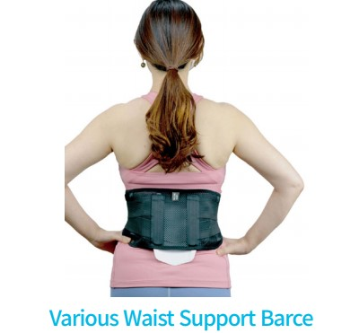 TING DISK GUARD Various Waist Support Brace