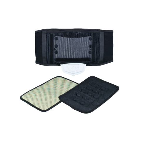 TING DISK GUARD Various Waist Support Brace