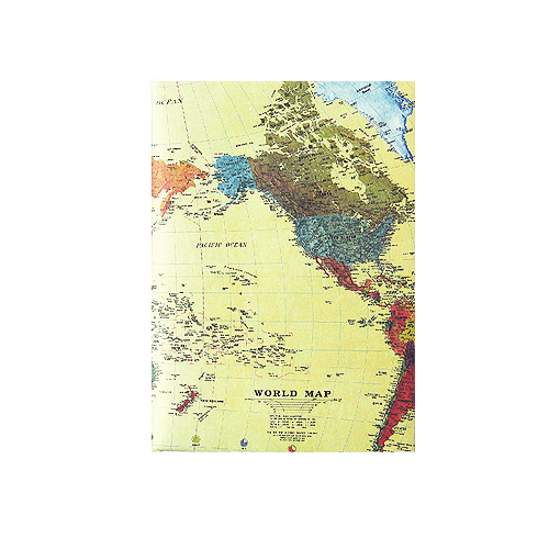 CashTank PassportWallet used Tyvek