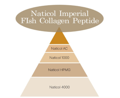 100percent Collagen Powder