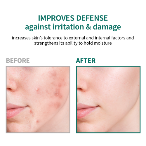 Dr Skinica Centella Therapy Mask