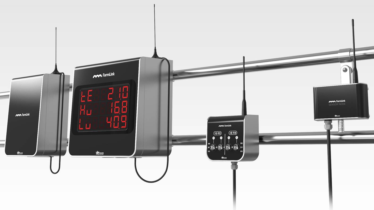 Boddlelang Handsfree Dog Leash