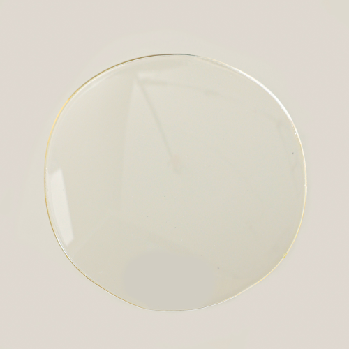 Boddlelang Handsfree Dog Leash