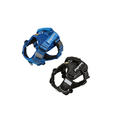 Interlaken Tech Dog Harness
