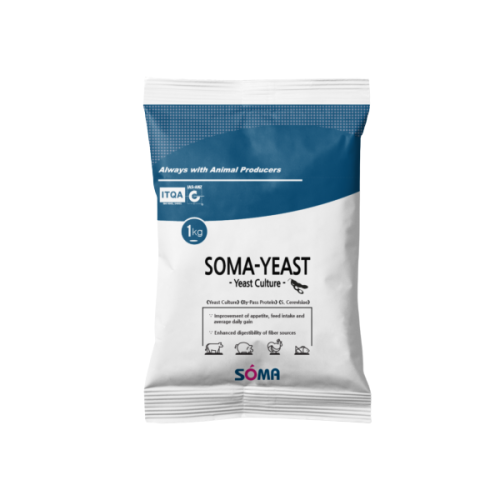 YeastCulture for Cattle FedHigh Concentrated Feeds