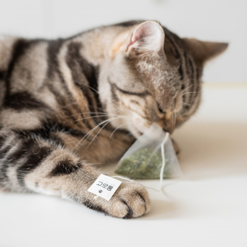 Organic, Hand-Harvested, High Quality Catnip