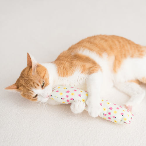 Fresh & Organic: Hand-Harvested from South Korea