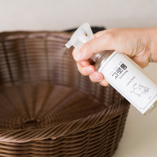 Prevent Cats from Aggressive Behavior Feel Relaxed