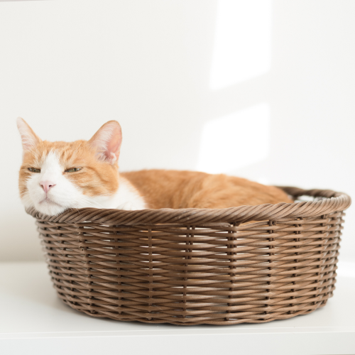 Mess-Free Alternative: No Leaves No stress