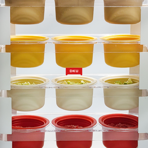 Baby Food Freezer Storage Mini Capsule Container