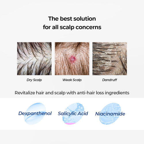 JULYME Perfume Hair Shampoo Woody  Musk 500ml