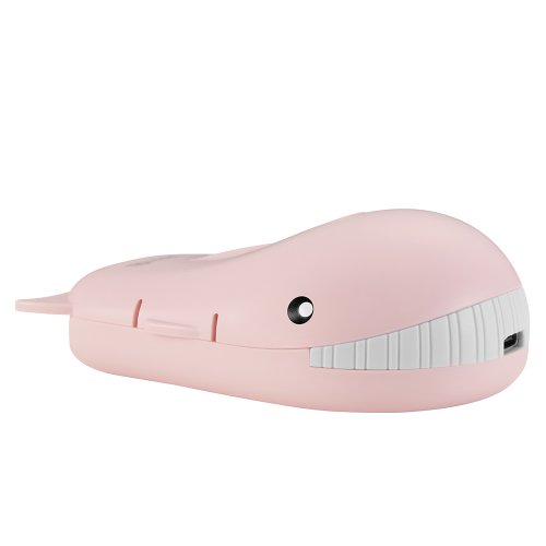 portable UVC sterilizer PPAYO