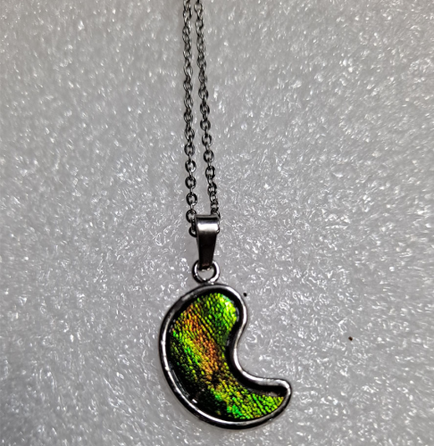 Jewely Beetle?Necklace