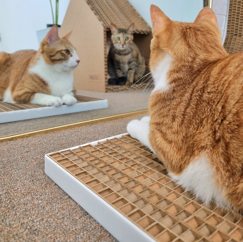 Dustfree Cat Scratch Board with new structure usin
