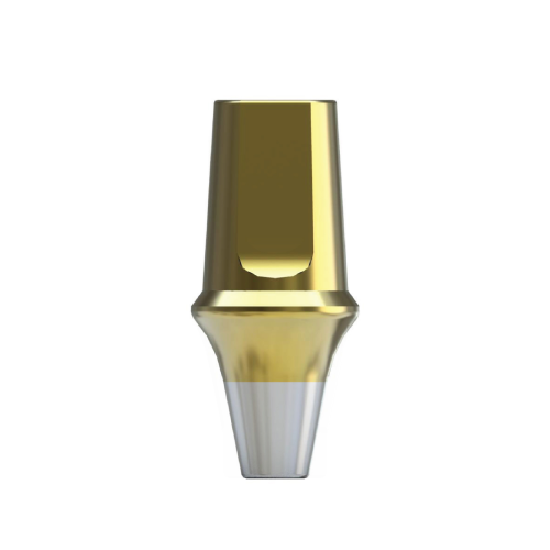 Zionics TS Type Cemented Abutment N Hex Mini TSCN4
