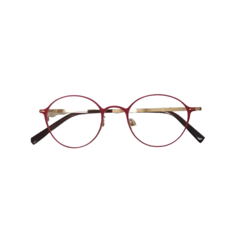 Optical Frame