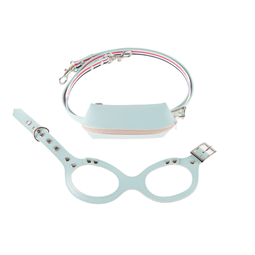 Puppy Zone Lead Line Set Mint