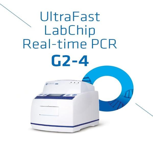 Real Time PCR