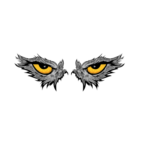Its a pair of eagle eye stickers