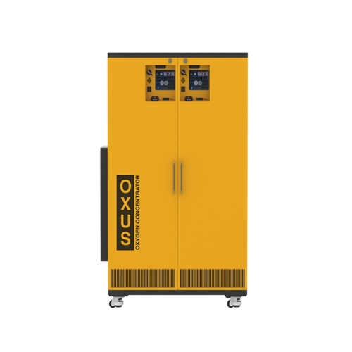 60 LPM Oxygen Concentrator Generator RAKU06M2E