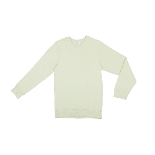 the long sleeve t-shirt