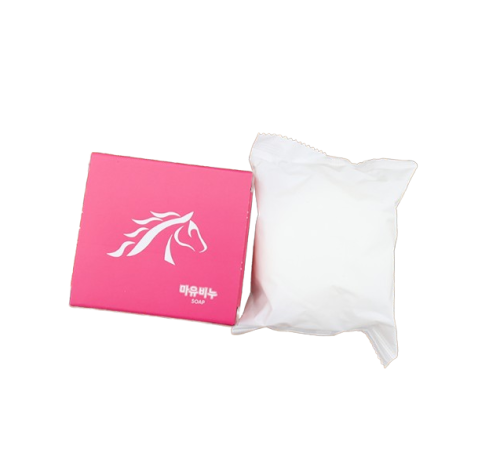 horse pillow and box