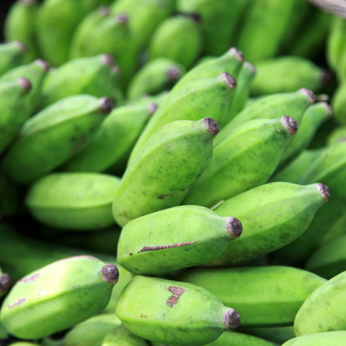 Sri Lanka Bananas