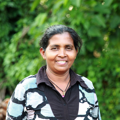 Fairtrade pineapple producer in Sri Lanka