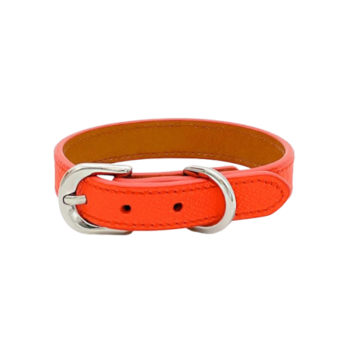 orange leather dog collar