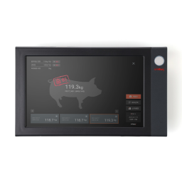 a digital screen and a pig