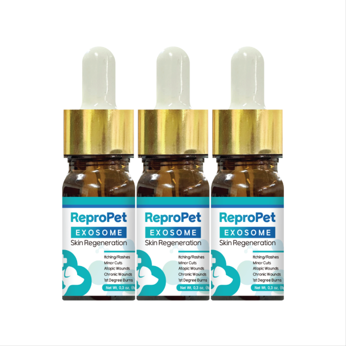 동물을 위한 세계 최초의 엑소좀 기반 동물용 창상피복재 (젤 타입)