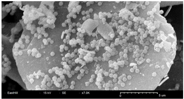 Applied Mechano-fusion Coating System