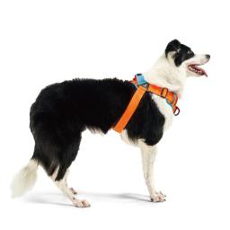 INTERLAKEN Earthtec Y Pad Harness