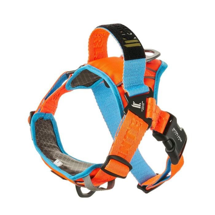 dog harness