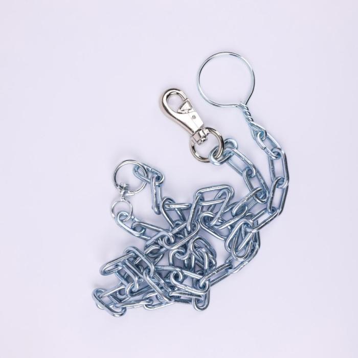 Dog chain leash Premium 6∮
