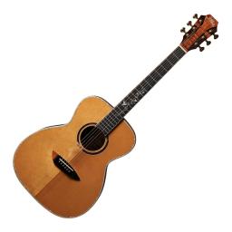 acoustic guitar