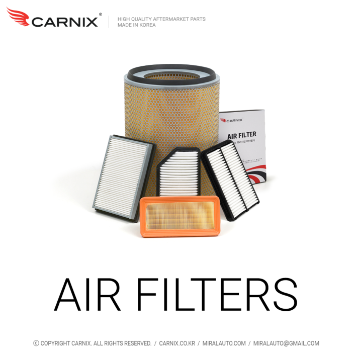 CARNIX -Korean auto parts-Air Filters