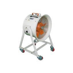 Portable Fan
