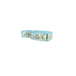 Mint Sky Color. This color, which resembles the high and clear sky, makes your dog cheerful and lively.