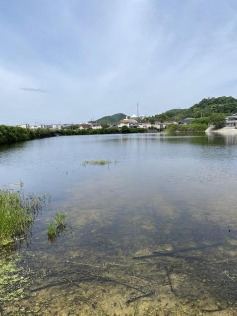 Lake water purification