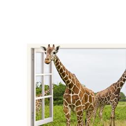 Giraffe window shape magic art