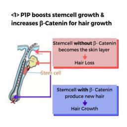 P1P is a lab-developed ingredient that serves the same function as s1p, it renews the skin cell and promotes the hair growth