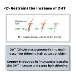 <2> Copper Tripeptide stops Hair Thinning
DHT Hormones (Dihydrotestosterone) is the main reason many mid-age men and woman after giving birth experience hair thinning. 
Copper Tripeptide in Phytopesia stops the increase of DHT and restrains hair from thinning.