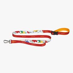 PEPETTON Standard Single Leash With Handle