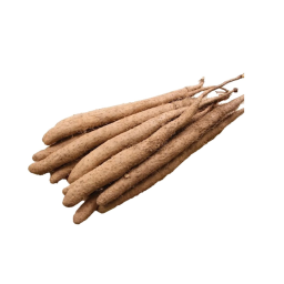 ginseng