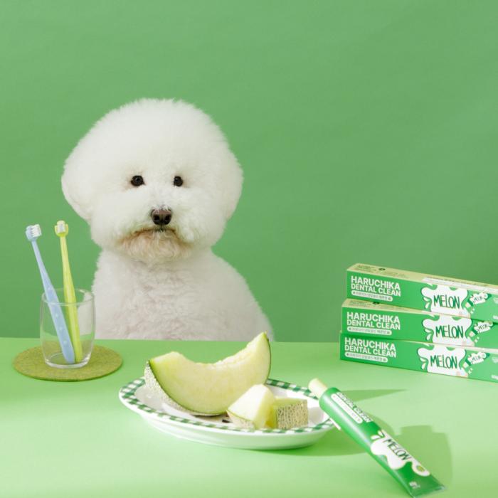 thinkpets haruchica toothpast melon 60g