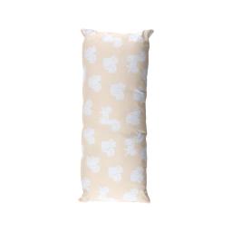 the pillow case