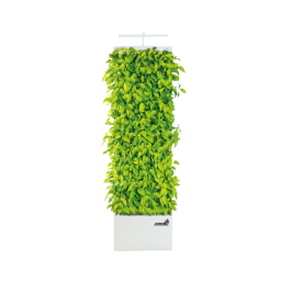 Plant grower that can control the environment anywhere in the world through ICT combination