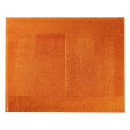 the orange rug