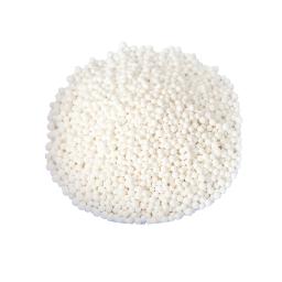 white rice